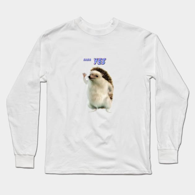 haha yes hedgehog but better Long Sleeve T-Shirt by KatiaMart